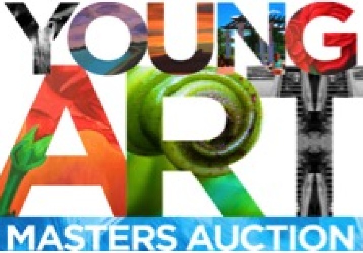 Young Art Masters Auction 2015